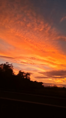Vivid sunset colors over the treeline in Allmannsweier, Germany