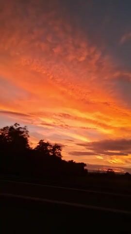 The video captures a vibrant sunset with streaks of orange, pink, and yellow clouds against a darkening blue sky. The sun appears to be setting behind a silhouetted treeline or horizon. The foreground is dominated by dark horizontal bands, possibly indicating a road or a reflective surface like a car window, with reflections of the sky visible. The camera appears to be in motion, causing slight shifts in perspective. There are no people or discernible objects in the scene besides the natural elements and what is implied by the viewing perspective.