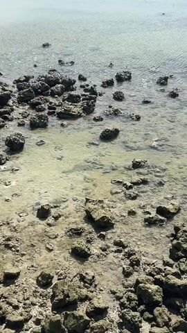 A handheld vertical video pans up from a rocky shoreline to a tranquil ocean under a cloudy sky. The foreground consists of dark, irregular rocks of varying sizes partially submerged in shallow, clear water. The water is slightly murky, revealing the sandy, rocky seabed below. Beyond the rocky shore, the sea stretches out, its surface rippled by a gentle breeze. In the distance, a hazy coastline is visible, characterized by rolling green hills dotted with scattered buildings. A thin strip of sand or a shallow sandbar is apparent along the coast. A few small boats are visible near the shore, and the sky is filled with scattered white clouds against a pale blue backdrop. The overall atmosphere is serene and natural.