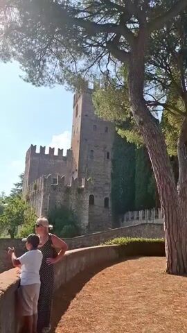 The video pans across an outdoor scene featuring a stone castle or tower in the background, surrounded by trees and greenery. In the foreground, several large pine trees with textured bark are prominent. A woman and a child are visible near a low wall. Parked cars are seen in the background, suggesting a public area. The sky is clear and blue, indicating daytime and fair weather. The overall impression is of a scenic historical location with a park-like setting.