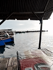Early morning fish market operations documented in Lhokseumawe Indonesia
