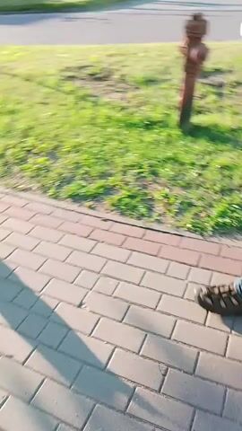 The video shows a person walking a small dog on a leash along a paved walkway. The person is in the foreground, walking away from the camera. The dog is in front of the person, also walking away from the camera. The walkway is lined with grass and trees. Two young women are walking in the distance, on the same walkway. The sun is shining, casting long shadows. The overall environment appears to be a park or a residential area. The video is shot from a first-person perspective, suggesting the viewer is the person walking the dog.