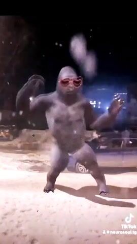 A CGI gorilla wearing heart-shaped sunglasses dances in the snow at night. The background appears to be a street with cars and lights. There are white particles in the air, possibly snow or glitter.