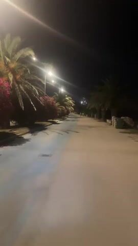 The video shows a paved path illuminated by streetlights at night. Palm trees line the left side of the path, with some pink flowering bushes visible. The path appears to be a walkway or bike path, with a blue-colored lane on the left. In the distance, several figures can be seen walking. The overall impression is a quiet, tropical promenade at night.