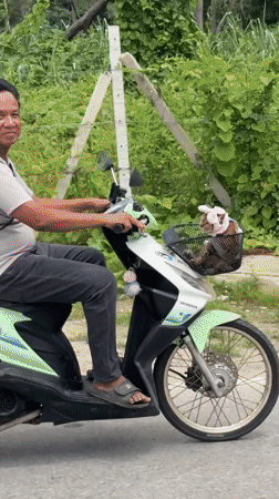 Scooter ride through Nong Pa Khrang with a basket-bound passenger