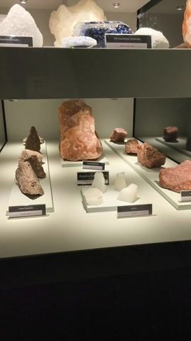 The video displays an indoor exhibit showcasing various large samples of rock salt and other minerals. The camera slowly pans from right to left, revealing different sections of the display cases and shelves.

The exhibit features numerous pieces of rock salt, varying in color, size, and texture. Colors observed include white, off-white, light pink, dark pink/orange, brown, translucent white, and striking blue. One section features green and yellowish minerals, identified by a label as "Gips zabarwiony związkami metali ciężkich" (Gypsum colored with heavy metal compounds).

Each sample or group of samples is accompanied by a white label with text, primarily in Polish, identifying the type of mineral or its origin. Visible labels include:
- "Sól kamienna biała" (White rock salt)
- "Sól kamienna niebieska" (Blue rock salt)
- "Kopalnia Soli Kłodawa" (Kłodawa Salt Mine)
- "Kopalnia Rudna" (Rudna Mine or Mining Pit, in this context likely a salt mine section)
- "Sylwin" (Sylvite, a mineral)
- "Złoże Solankowe" (Brine deposit)
- "Zubek Kruszcowy" (Ore lump/cube)

The exhibit is well-lit by spotlights, highlighting the textures and colors of the minerals against a dark background in the display cases and a light-colored wall. The setting appears to be a museum or an educational center, likely related to salt mining, given the location context of Wieliczka, Poland. There are no people visible in the video.