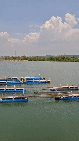 Morning activity on Lhokseumawe's littered waterfront
