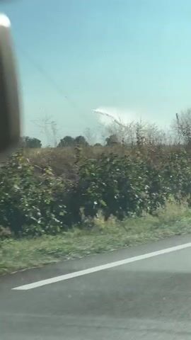 This video appears to be taken from a moving vehicle. The footage shows a roadside scene with dry grass and some green bushes. In the distance, there are trees and power lines. At around 00:01, a plume of white smoke or mist rises from the field, suggesting some kind of activity like a controlled burn, agricultural spraying, or a fire. The smoke drifts across the scene, obscuring some of the background. The sky is clear and blue.