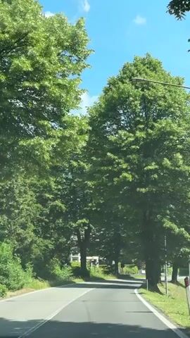 The video shows a car driving along a road lined with tall, leafy green trees on a sunny day. The sky is blue with a few clouds visible. The road is paved and has white lines marking the lanes.  In the distance, a mountain can be seen. A street light is visible next to the trees.  The video is taken from inside the car.