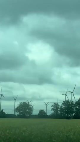 The video captures a scenic view of a field of crops under a cloudy sky. In the background, numerous wind turbines are visible, their blades gently spinning. A line of trees stands between the field and the turbines, adding to the natural landscape. The overall ambiance suggests a peaceful rural setting with a focus on renewable energy.