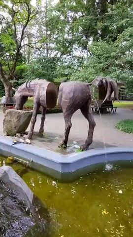 This is a video of a metal sculpture of a horse, cut in half and seemingly in the process of being reassembled or disassembled, in a park-like setting. The sculpture is positioned next to a pond with greenish water. The horse's head is lowered towards a large rock. Water appears to be flowing from the rear of the sculpture into the pond, suggesting it may be part of a fountain. The environment includes trees with lush green foliage and some paved areas in the background. There are no people visible in the immediate vicinity of the sculpture.