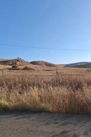 The video shows a landscape with dry grass and hills under a clear blue sky. There are power lines strung between utility poles. In one section of the video, an Israeli flag is visible on a hilltop. The camera appears to be mounted on a moving vehicle, as indicated by the slight blurring and the changing perspective. There are no people or direct interactions visible. The overall impression is of a rural or semi-arid environment.