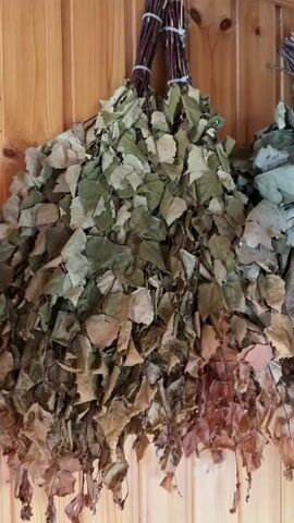 The video shows a close-up, panning view of several bunches of dried leafy branches hanging on a light-colored wooden wall. The branches appear to be birch or oak leaves, with some leaves still green and others dried and brown. The bunches are tied together with twine at the top. The wall is made of vertical wooden planks. Towards the right side of the frame, a rolled-up rug or mat is leaning against the wall, and a large cylindrical container is visible on the floor. The overall impression is of a storage area for natural materials, possibly for a sauna or spa.
