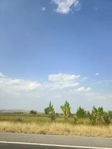 The video shows a roadside view with a clear blue sky and scattered white clouds. The foreground features a paved road with a white line marking its edge. Beyond the road, a grassy field with dry, tall grass is visible. Several young trees with green leaves are sparsely planted in the field. In the distance, the landscape appears relatively flat with some low hills or mounds. A black and white road marker is visible on the right side of the frame. The scene suggests an outdoor, rural environment on a sunny day.