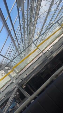 The video shows the interior of a greenhouse. Red planters holding small, green plants are lined up on a metal structure with wheels. The structure moves along metal beams towards the lower part of the frame. The roof of the greenhouse is made of glass panels, supported by metal beams. A bright yellow bar is visible near the roof. Below the planters and supporting beams, there is a darker, less visible area with more metal structures. The camera appears to be tilted upwards, capturing the moving planters and the greenhouse structure.