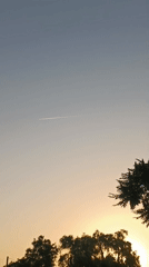 Quiet evening moments captured in Viadana, Italy residential neighborhood