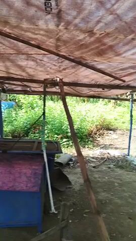 The video shows an outdoor area with a makeshift shelter. The shelter is constructed from a tarp stretched over wooden poles and beams. In the foreground, there is a blue and purple metal structure, possibly a cart or container, and a large wooden paddle leaning against the shelter's support. A white pipe is also visible. Beyond the shelter, lush green vegetation can be seen. In the background, a person is sitting on a bench near a tree. The ground is dirt and debris. The overall impression is of a rustic or informal outdoor workspace.