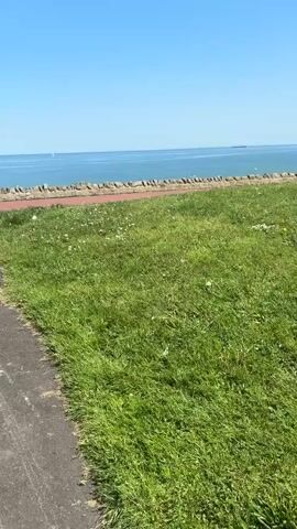 The video shows a coastline with a stone wall separating a paved path and a grassy area from the sea. The sky is clear and blue. In the distance, a sailboat can be seen on the water. A bicycle is parked by the wall.  A bird flies overhead. A man is seen briefly crouching on the grass. Buildings are visible along the coastline in the distance.