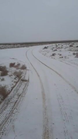 The video shows a snowy landscape with a dirt road in the foreground. The road curves slightly to the right and has tire tracks running along it. The surrounding area is covered in snow and sparse vegetation, consisting of small bushes. The sky is overcast and gray, suggesting a cold weather.  The camera slowly pans across the landscape.