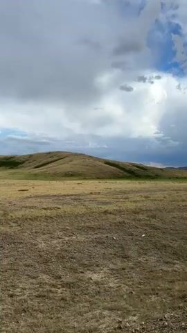 This media file captures a wide, open grassland landscape under a dramatic, cloudy sky. The foreground is dominated by dry, muted-colored grass and sparse rocks, suggesting a semi-arid or steppe environment. In the middle ground, a gentle, rolling hill covered in slightly greener vegetation rises, creating a visual break in the flat expanse. The background reveals a hazy, mountainous horizon.

The sky is a dynamic mix of dark, heavy clouds and patches of bright blue, indicating a day with changing weather, possibly with rain showers in the distance. A thin, white contrail is visible against the clouds, hinting at an aircraft passing overhead.

The overall scene evokes a sense of vastness and solitude. There are no people or man-made structures readily apparent in the immediate view, contributing to the feeling of being in a remote, natural setting. The light suggests it could be late afternoon or early evening, given the contrast between the sunlit areas and the shadowed clouds.

The location is identified as Bakty, Kazakhstan, which aligns with the described landscape of steppes and rolling hills found in parts of Central Asia. No text is visible within the media file itself.