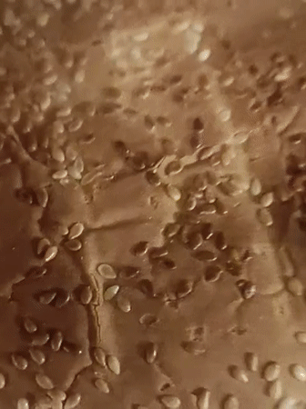Two hamburgers documented on white plate in Tubize, Belgium