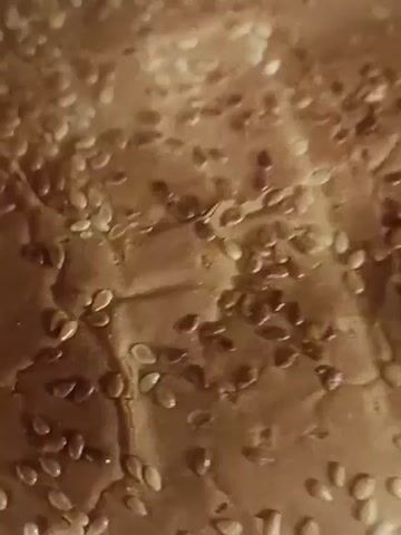 The video shows two hamburgers, with sesame seed buns, on a white plate. Both sandwiches have lettuce, cheese, and cooked onions. The camera moves to show both burgers in detail.
