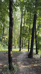 Walking a sun-dappled forest path in Rostov-on-Don