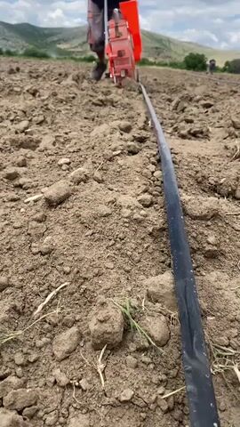 The video shows a close-up view of a black hose or pipe laid out on dry, brown soil in a field. In the background, a person wearing orange overalls and dark pants is operating an orange and red planting machine that appears to be laying the pipe. The machine has a clear compartment and a metal spout. Further in the background, other individuals are working in the field, with some bending over and others walking. The field is tilled, with visible clumps of soil and sparse dry grass. Hills and trees can be seen in the distance under a cloudy sky. The camera is positioned low to the ground, focusing on the pipe and the planting machine.