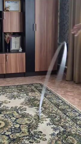A silver hula hoop is spinning in the center of a room. The hoop is in motion and appears to be spinning from left to right. The floor is covered by a patterned rug, and there is a closet in the background. The lighting suggests it is daytime.