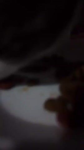 The video is dimly lit and blurry. A white and gray cat is seen eating from a white plate with a floral design. There are also some orange-colored items on the plate. The surrounding environment is dark, but appears to be indoors, on a reddish-brown surface. The camera is stationary.