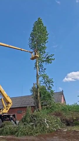 A tree trimmer is using a yellow crane to cut down a tall tree in front of a dark roofed building. The tree trimmer is working in the crane's basket. The tree has already been cut down partially, and the cut limbs are piled on the ground. The sky is blue, and there are some clouds visible. The video is taken from a low angle, looking up at the tree trimmer and the tree.