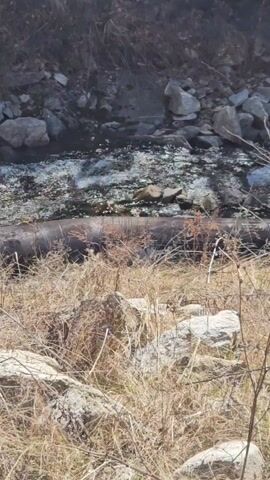 The video shows a small, rocky stream flowing through a landscape of dry grass, rocks, and some sparse bare branches. The stream's bed is filled with dark rocks, causing the water to ripple and churn as it passes. The surrounding area consists of dry, brown grass and scattered grey rocks. A dark, possibly metallic object, appears to be lying across the stream, partially submerged. The scene is captured in daylight, with the sun reflecting off the water's surface.