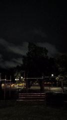 Nighttime dog walk through a rainy Mykolaiv park