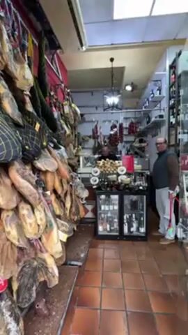 A vertically oriented, static shot depicts the interior of a small Spanish market selling cured meats. The left side of the frame is dominated by dozens of legs of cured ham, some wrapped in netting, hanging from the ceiling and upper wall. The market floor is tiled in a reddish-brown pattern.  In the center of the frame, a shopkeeper stands behind a glass counter displaying cheeses and other delicacies. A small refrigerator sits in front of the counter, stocked with bottles of wine or other beverages. A man in a green vest and white pants stands to the right, talking to the shopkeeper.  He holds a red leash attached to a small, white and brown spotted dog, which stands at attention near his leg. In the background, shelves are stocked with bottles, presumably wine. The lighting is bright but somewhat uneven, with a light fixture visible on the ceiling. The overall impression is that of a traditional and well-stocked Spanish deli.