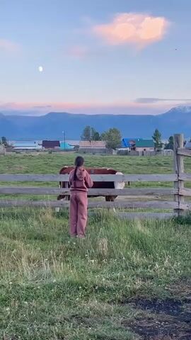The video shows a young girl in a pink tracksuit standing in a grassy field. She is facing away from the camera, towards a wooden fence and a cow. The cow is mostly brown and white, and it is on the other side of the fence. Behind the fence, there are some houses and trees. In the distance, there are mountains and a body of water. The sky is a soft blue with some pink and orange clouds. The moon is also visible in the sky. The girl appears to be looking at the cow, and she might be petting it or feeding it. The scene is peaceful and serene, with a sense of rural tranquility.