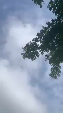 The video shows a view looking up into the sky through the branches of a tree. The sky is blue with white clouds. Someone is singing "Happy Independence Day".
