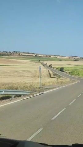 The video shows a POV shot of a car driving on a paved road through a rural landscape. The road curves to the right and then straightens out, heading towards rolling hills in the distance. The landscape on either side of the road consists of agricultural fields, some appearing to be recently harvested with stubble, and others with green crops, possibly sunflowers. The sky is clear and blue, suggesting a sunny day. The sun casts shadows on the road and the surrounding vegetation. The interior of the car is partially visible at the bottom of the frame, indicating the perspective of the driver or a passenger. There are no other vehicles or people visible in the immediate vicinity.