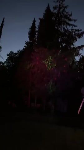 A nighttime outdoor scene shows a large tree adorned with red and green lights. The lights appear to be projected onto the tree, creating patterns of dots and squares. The sky above is a dark blue, indicating dusk or early night. The ground in front of the tree is dark and appears to be grass. There are other trees and some indistinct structures visible in the background, also in silhouette against the dark sky. The lighting on the tree changes throughout the short video clip, cycling through red and green patterns.