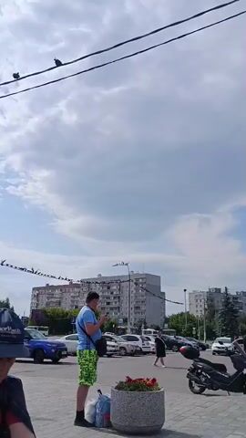 A short video clip shows an outdoor scene with a red brick building on the right. Several pigeons are seen flying in the sky and perched on overhead wires. In the foreground, a person is seated, wearing a dark cap and a blue jacket over a red shirt. To the right, a man in a green t-shirt and shorts is standing next to a white taxi. In the background, there are cars, other buildings, and trees. The sky is partly cloudy.