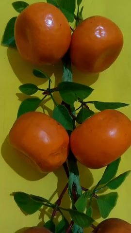 The video shows a vertical arrangement of artificial persimmons and green leaves against a bright yellow background. The persimmons are bright orange and appear to be made of plastic or similar material. They are arranged in an alternating pattern, with two persimmons at the top, two in the middle, and two at the bottom. The leaves are interspersed between the persimmons, adding a touch of greenery to the display.