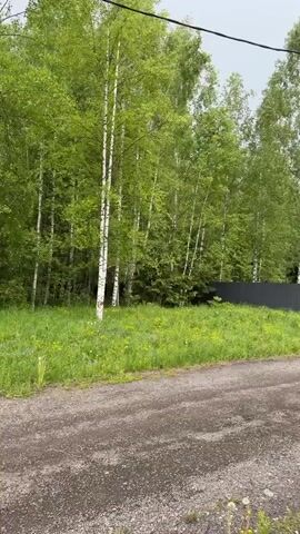 The video depicts a rural landscape. It begins with a view of a gravel road bordering a field of green grass, dotted with yellow flowers. Behind the field is a dark gray fence and a dense growth of birch trees. The camera pans right, revealing a power pole with a white box attached to it, then continues to pan until a small, dark gray house with white trim comes into view. Three slender birch trees stand in front of the house. The sky is overcast.