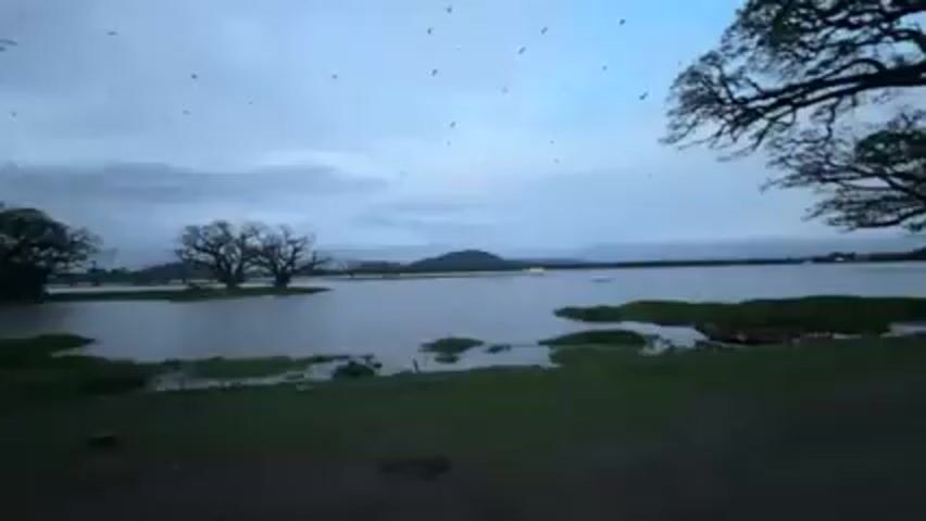 The video shows a wide body of water under an overcast sky, with trees along the shoreline and the silhouette of a hill in the distance. The camera is held low to the ground, showing grass and dirt in the foreground. The camera is then tilted upwards to show a tree and a paved path alongside the water. The camera is tilted haphazardly throughout.