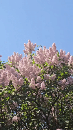 Spring day nature scenes documented across Russian towns
