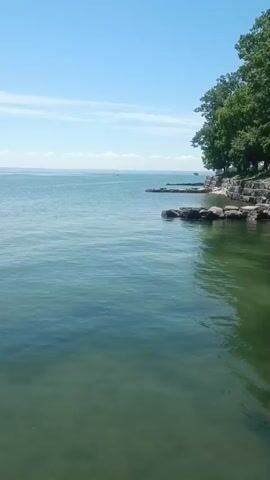 The video pans across a serene body of water under a clear blue sky. The water is a mix of blue and green, with gentle ripples. The right side of the frame shows a rocky shoreline dotted with rocks and lush green trees. The horizon is visible in the distance, with a few wispy clouds. The scene is peaceful and natural, evoking a sense of calm.