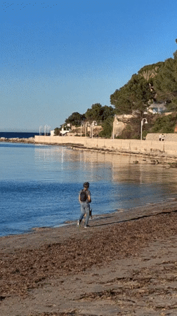 Person walks with small dog on sunny Dénia beach