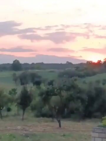 The video shows a sunset over a rural landscape. The sun is low on the horizon, casting a warm glow over the sky. Clouds are visible, tinged with pink and orange hues. In the foreground, there are trees and rolling hills covered in lush greenery. In the lower right corner, there is a low wall made of concrete blocks. The overall scene conveys a sense of peace and tranquility.
