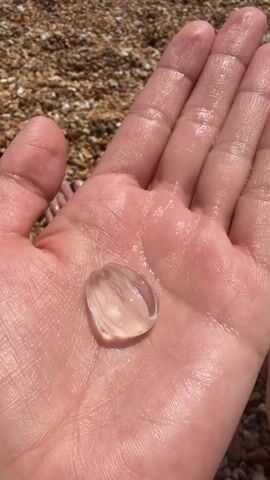 A person's open hand holds a small, transparent, oval-shaped object, possibly a sea creature, glistening with moisture. The background shows a pebbly beach under sunlight. The hand is light-skinned and shows visible fingerprints. The object in the hand has subtle rib-like markings running along its surface.