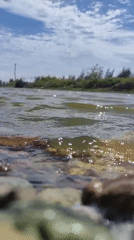 Morning net fishing yields small catch in Neuheun waters
