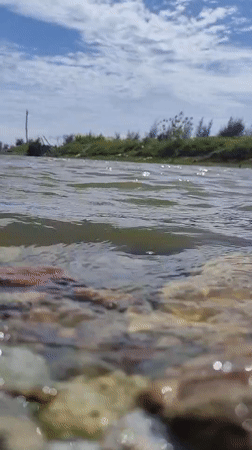 Morning net fishing yields small catch in Neuheun waters