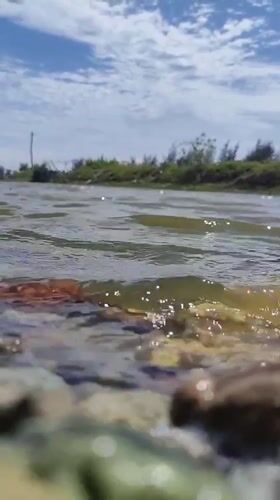 Morning net fishing yields small catch in Neuheun waters